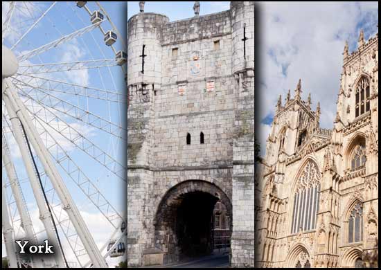Lio hire in York, Yorkshire